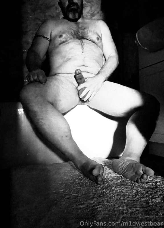 m1dwestbear image #2