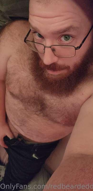 redbeardeddragon image #0