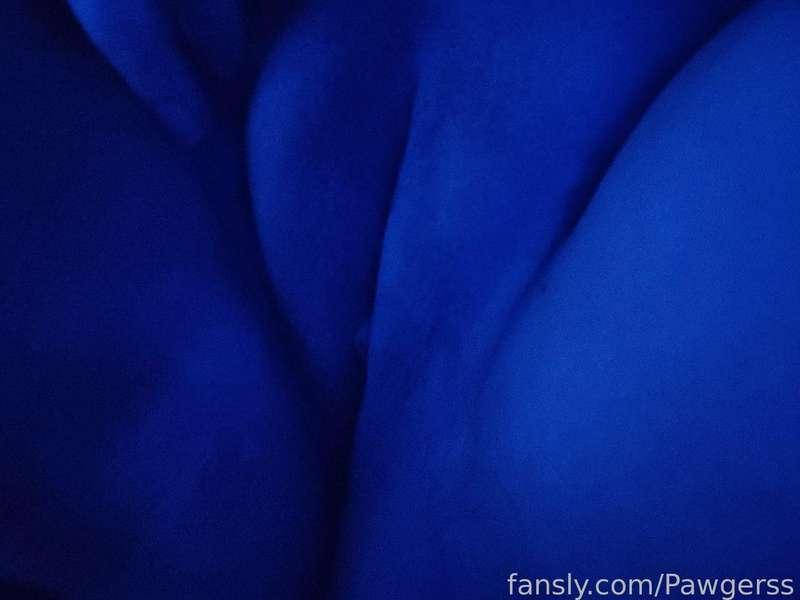 pawgerss image #0
