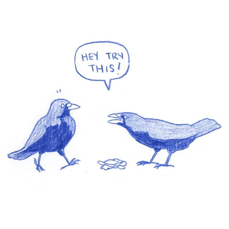 Quick Comic + *Book Update*