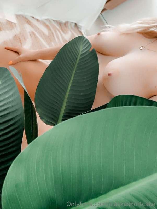 Unlock to see behind the leaf 🍃😏