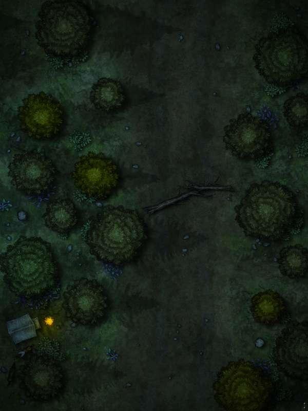 Forest Ambush - Foundry VTT & Fantasy Grounds