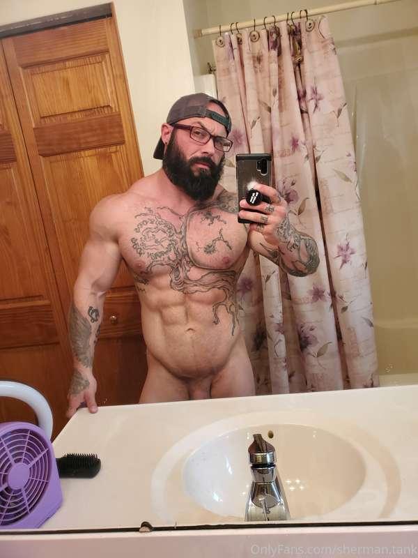 sherman.tank image #2