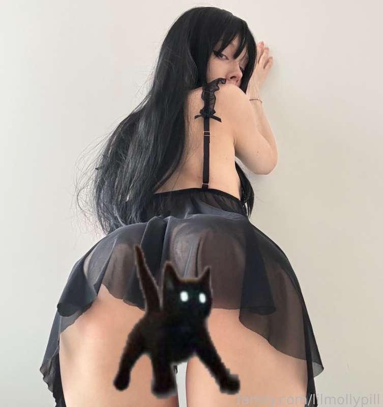 lilmollypill image #0