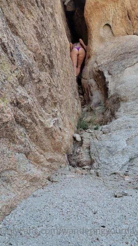 wanderingyourdaydreams image #4