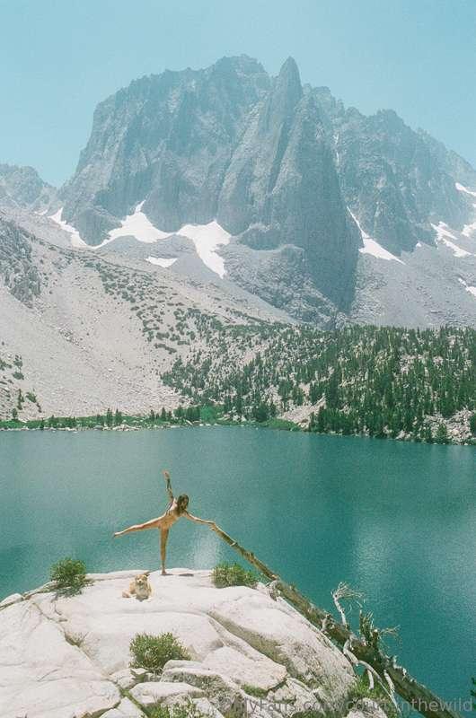 court.inthewild image #12