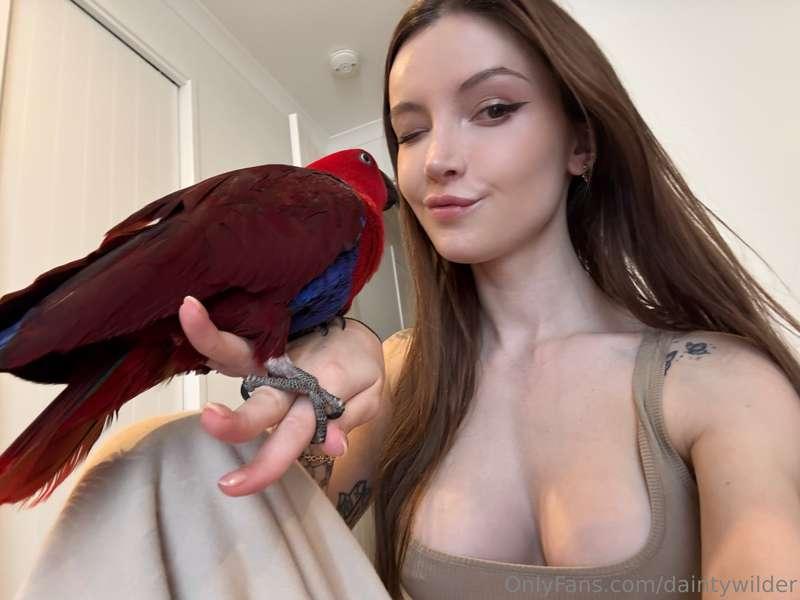 A little birdie told me I'm absolutely irresistible 😘🦜 Do yo..