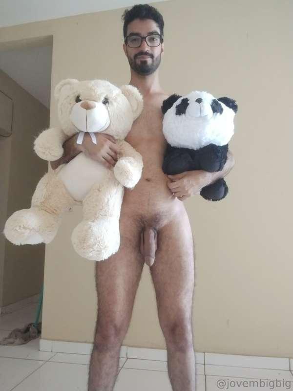 I ended up managing to buy both the bear and the panda