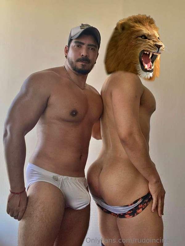 rudoincineroar image #0