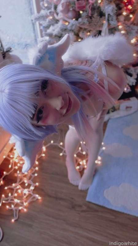indigowhite image #128