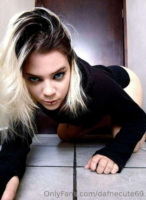 ‼️‼️𝙁𝙍𝙀𝙀 𝙎𝙐𝘽𝙎𝘾𝙍𝙄𝙋𝙏𝙄𝙊𝙉‼️‼️

😈ANAL QUENN😈

@diosaada 😈free vid..