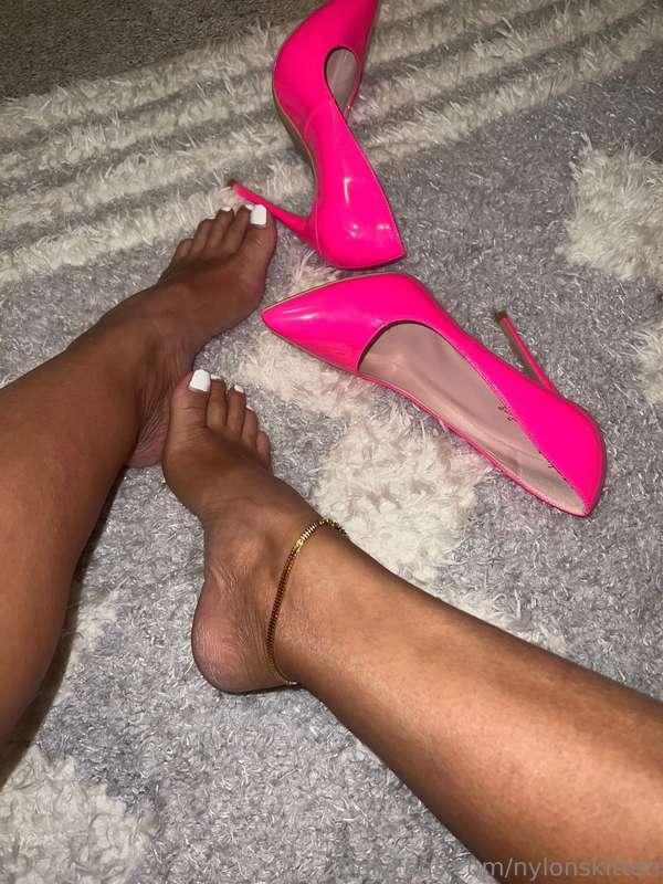 nylonskitten image #4