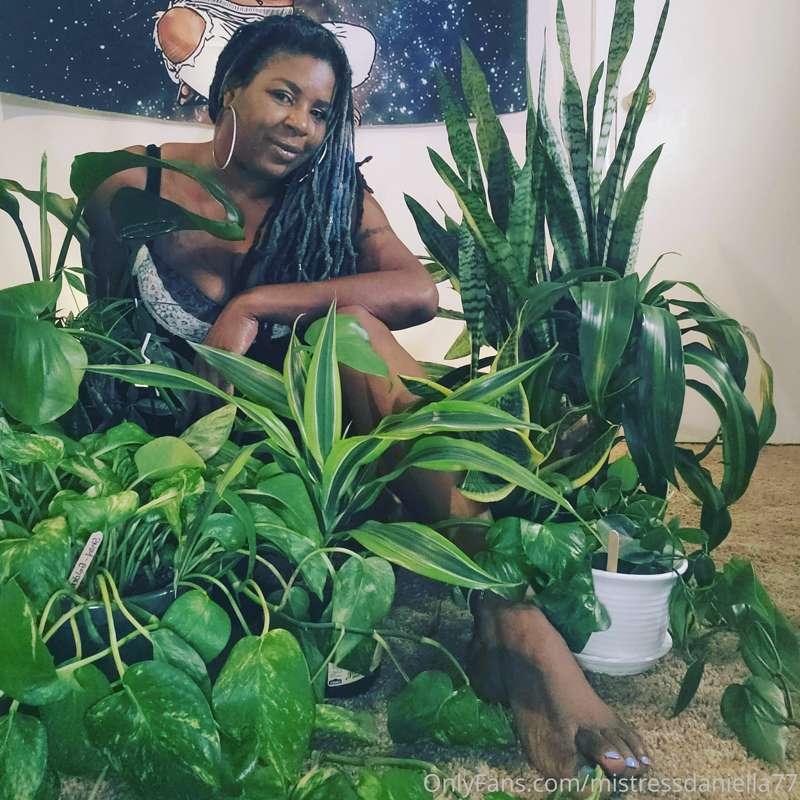 Me & my plants
Hmmm....I should do a naked photo shoot with ..