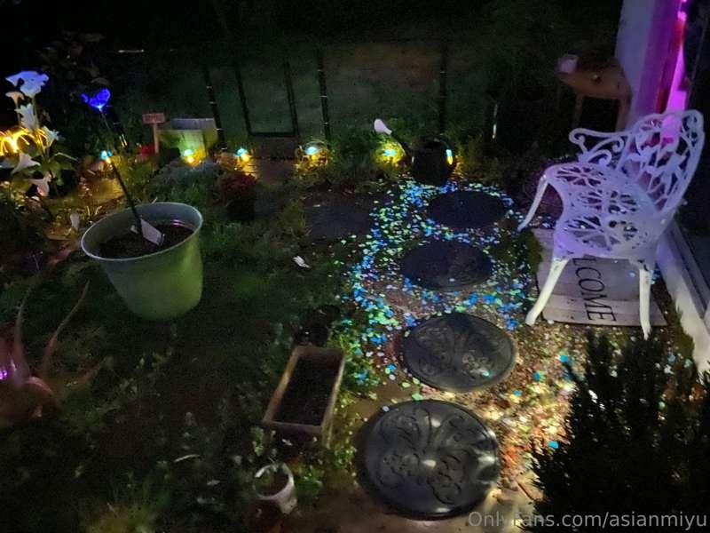 Backyard last night. Added glow in the dark rocks.