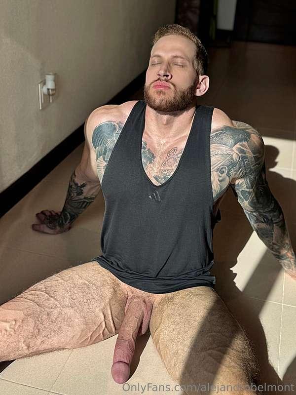 alejandrobelmont image #3