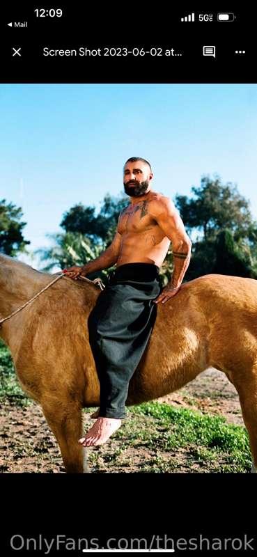 Persian Prince Charming ?