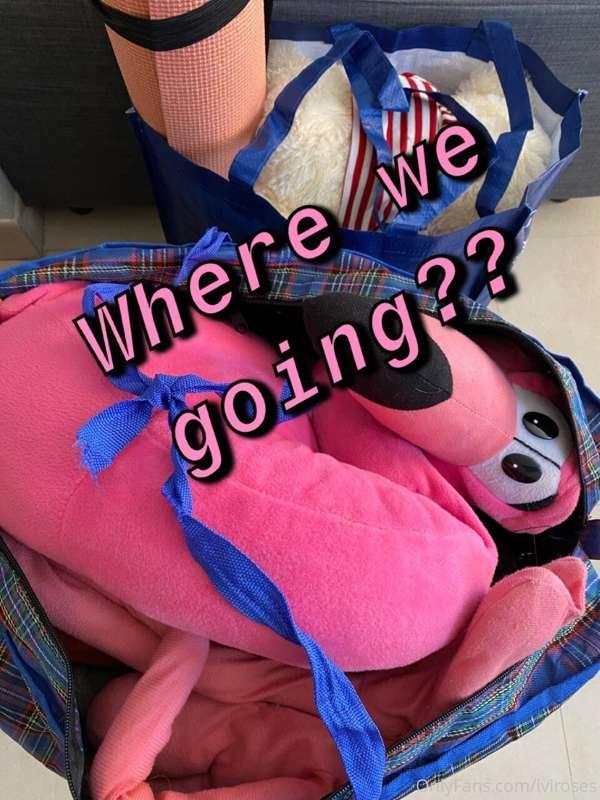 We are currently MOVING! 

MOVING FUND! All tips 25$+ make a..