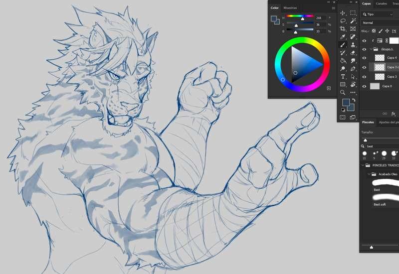 Tiger Fighter / WIP