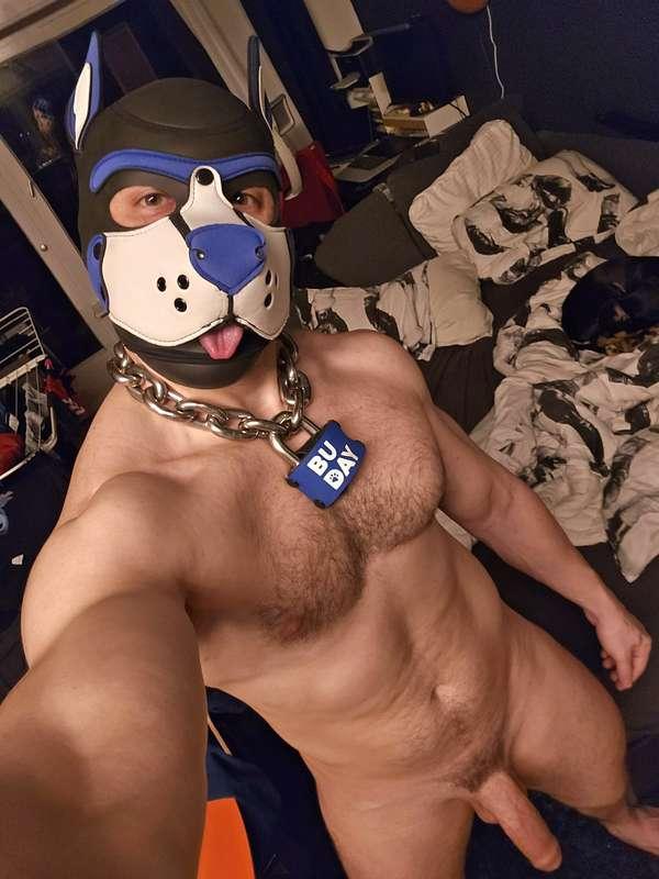 Got a new lock 🐶💙