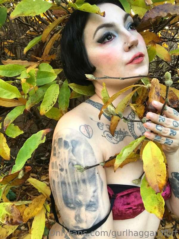 ✨🍂🍃✨🍃🍂✨