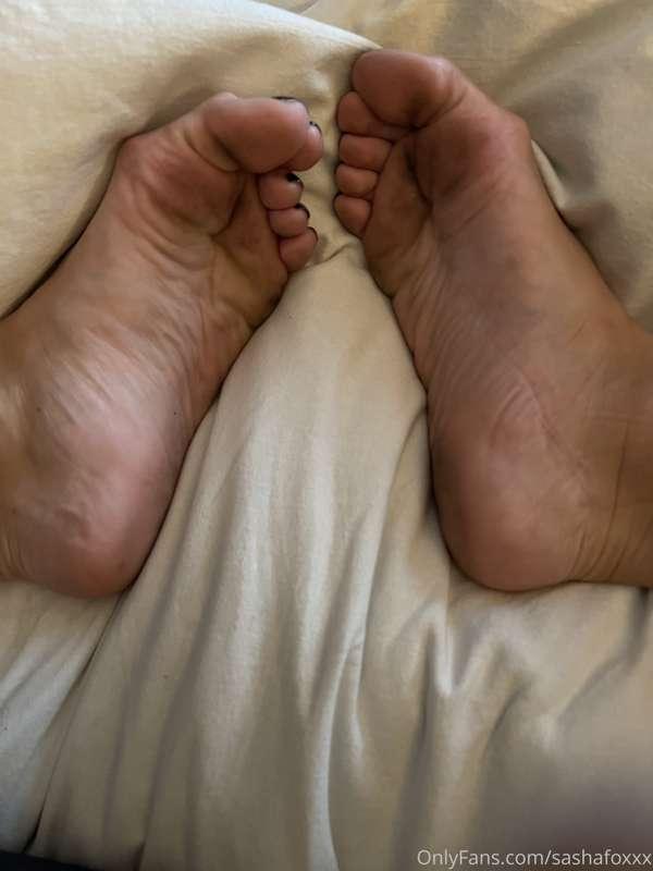 sashafoxxx image #1