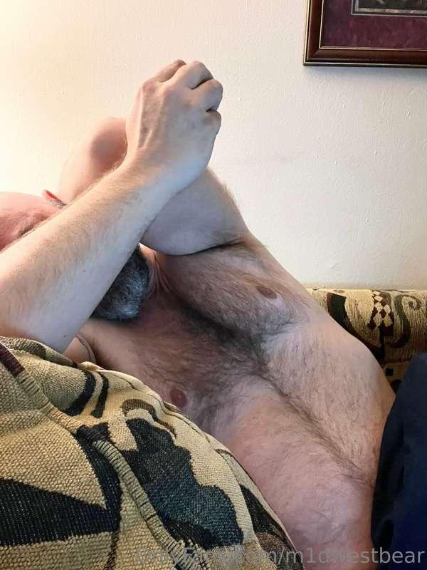 m1dwestbear image #4