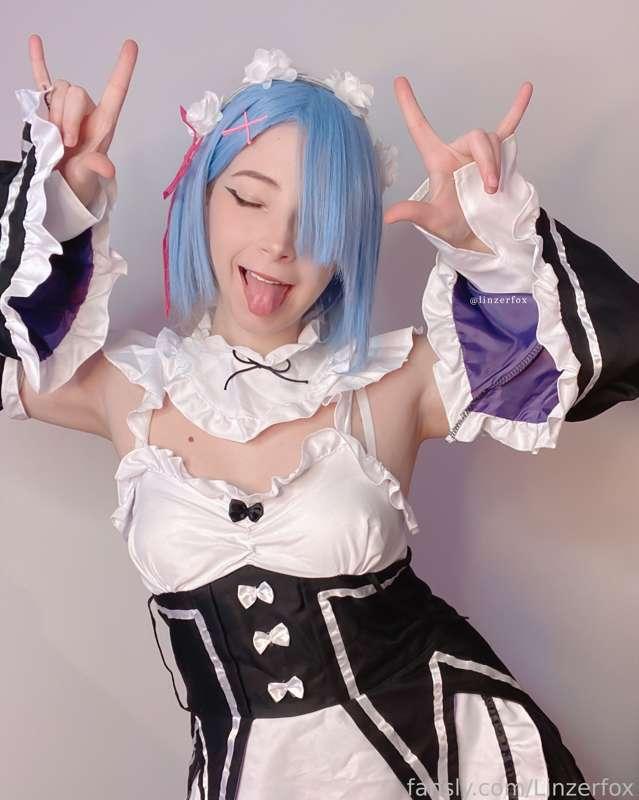 linzerfox image #2