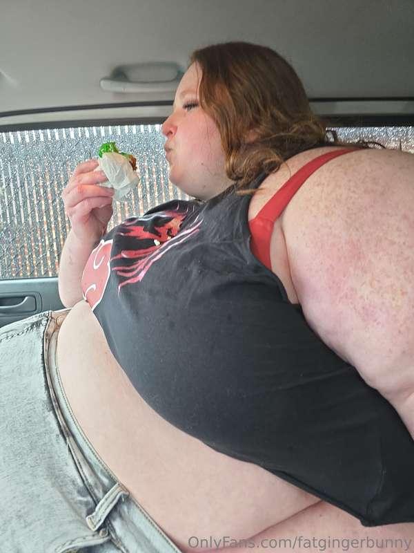 fatgingerbunny image #8