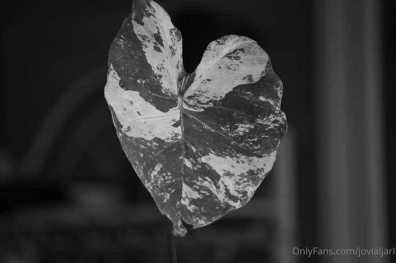 Playing around with black and white