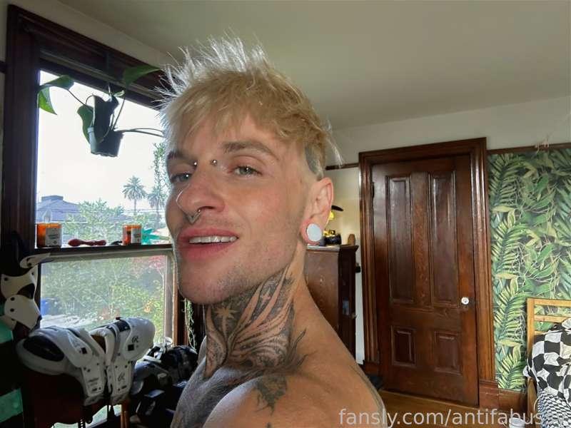 antifabussy image #6