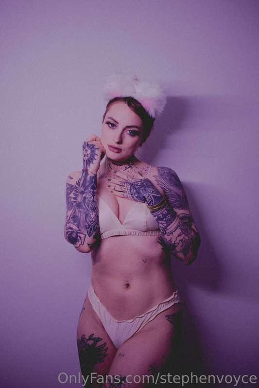 stephenvoyce image #0