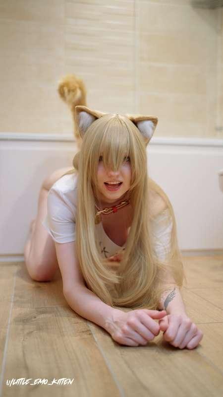 little_emo_kitten image #3