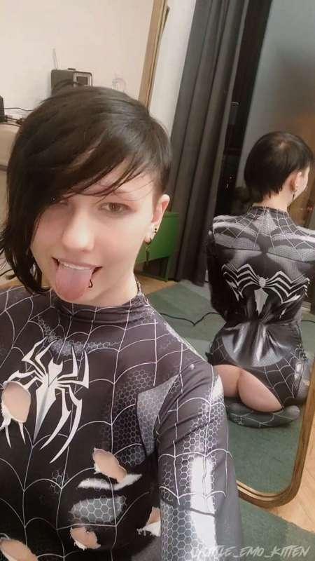 little_emo_kitten image #15