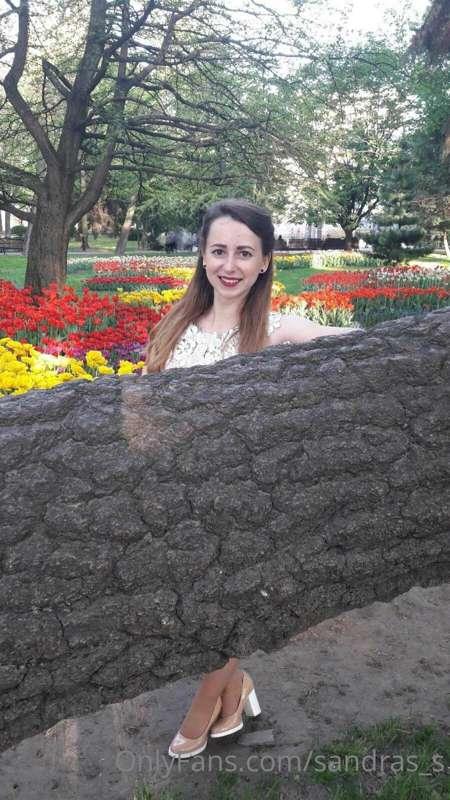 Park in flowers