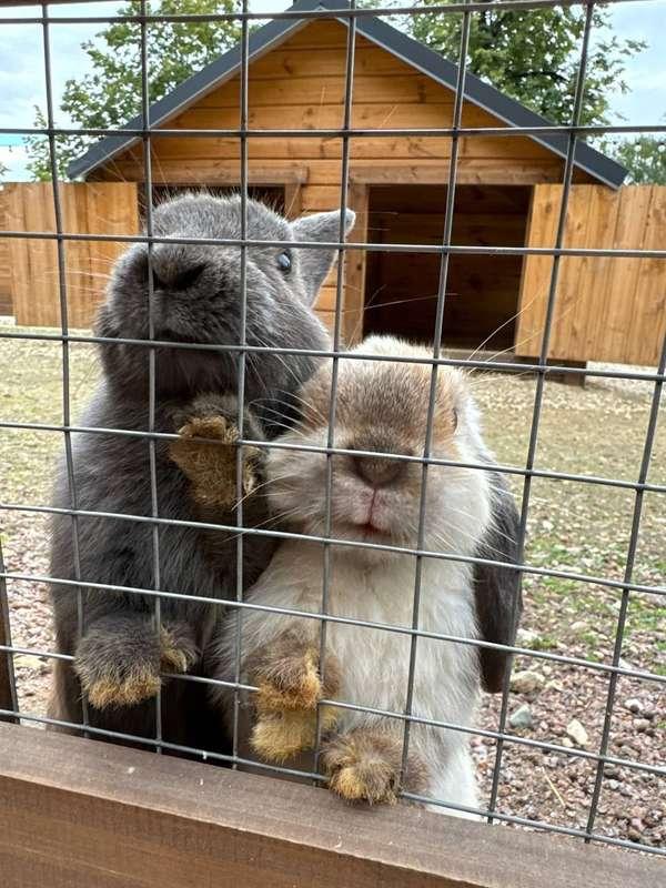 yoursmalldoll image #3