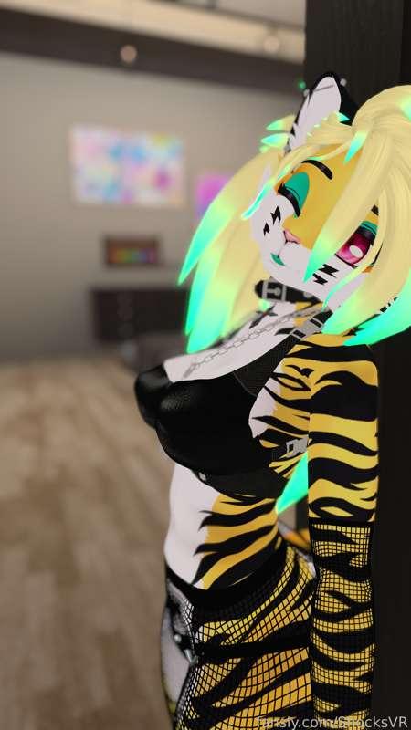 shocksvr image #1