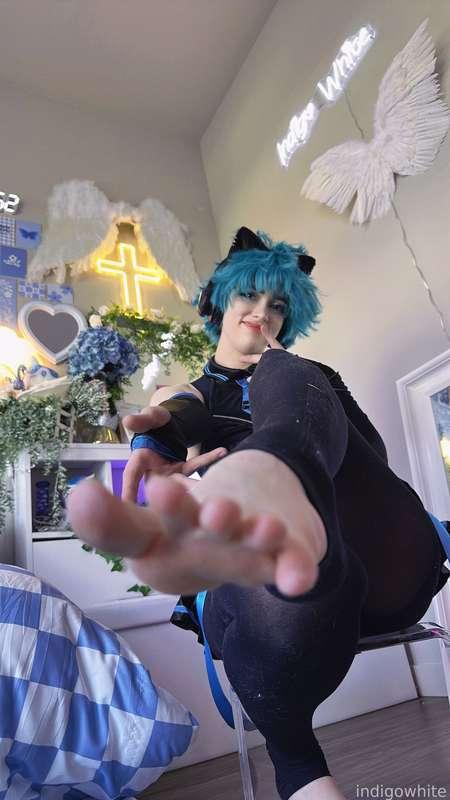 indigowhite image #107