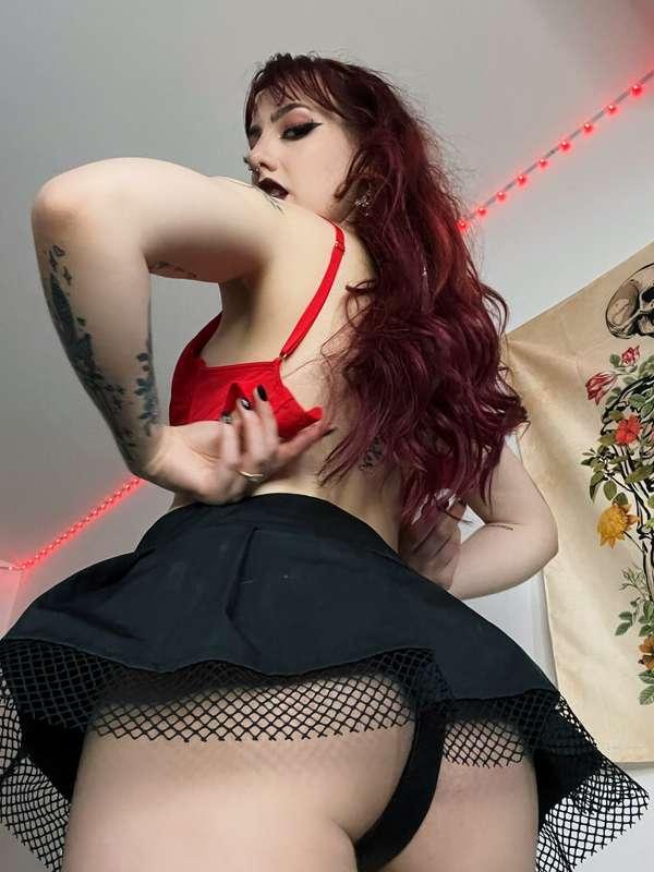 ivyfoxofficial image #0