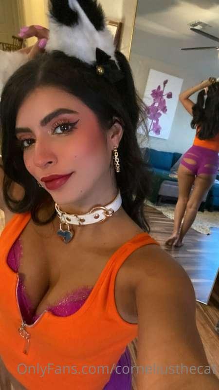 Good Kitty. 🐱 

Like to see more. Responding to messages ton..