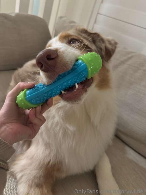 Wholesome feed break 🐾 Who else loves those simple, joyful m..