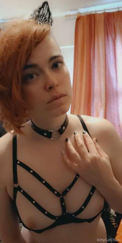 This harness bra might be my favorite thing atm