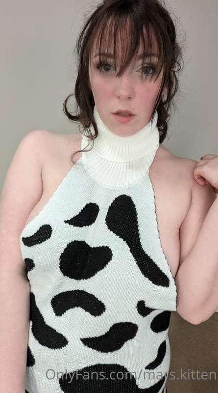 mars.kitten main image