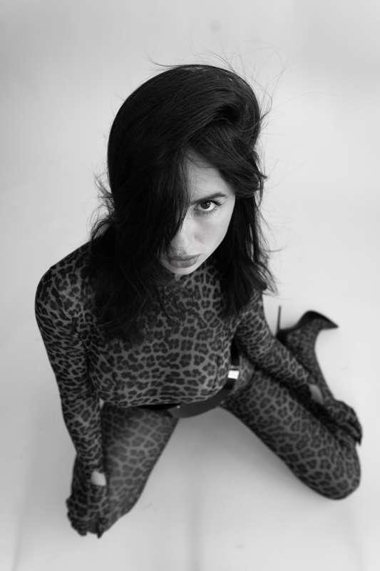 Meow 🐾