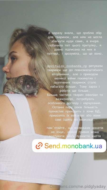 ne.pidglyaday image #0