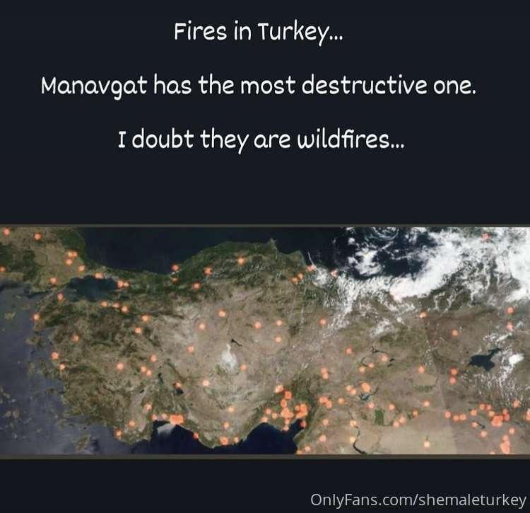 I am very sorry for the forests, for the animals that lost t..