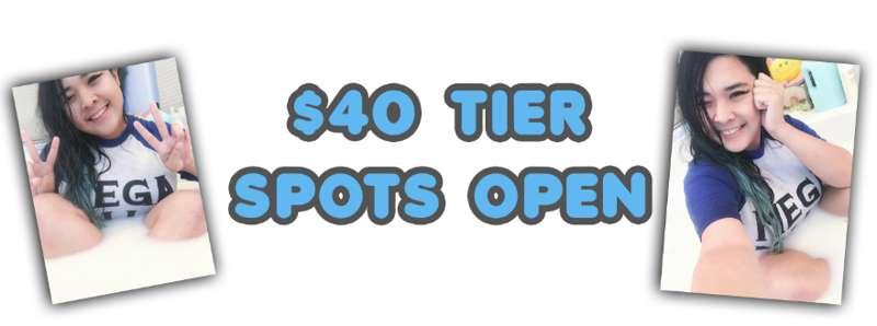 OPEN SPOTS FOR $40 TIER!!!