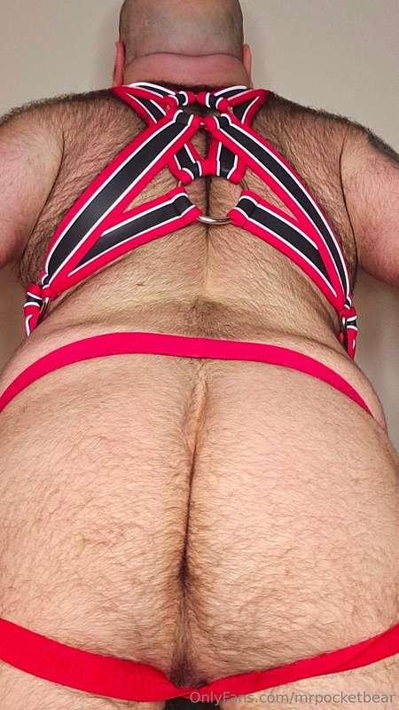 mrpocketbear image #5