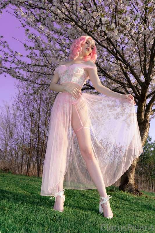 Front or back?? 🤭 Say goodbye to the Cherry Blossom Fairy! T..