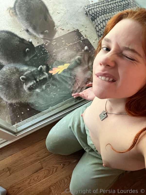 Me, titties, and my raccoon babes 🦝💗It’s a good day haha 