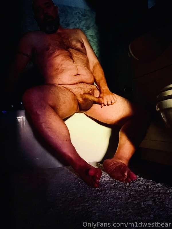 m1dwestbear image #7